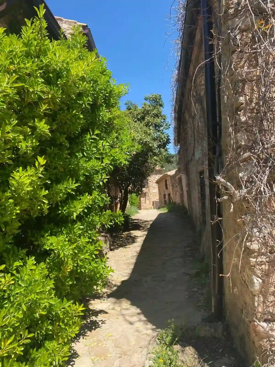 Casa Vila Gabaldón Riópar